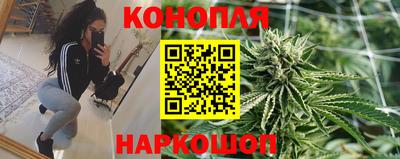 гидра Бузулук