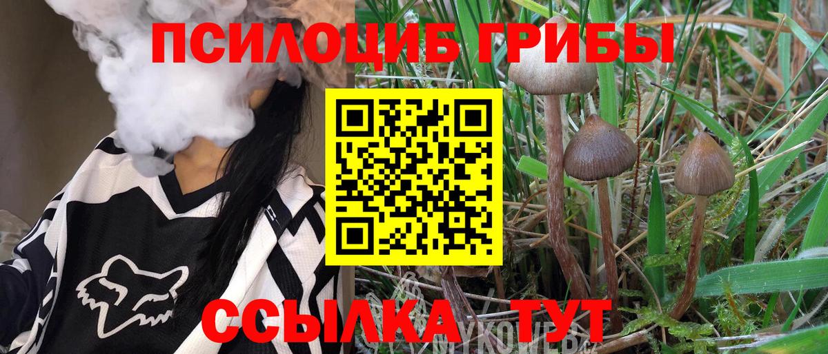 Галлюциногенные грибы мухоморы Черемхово