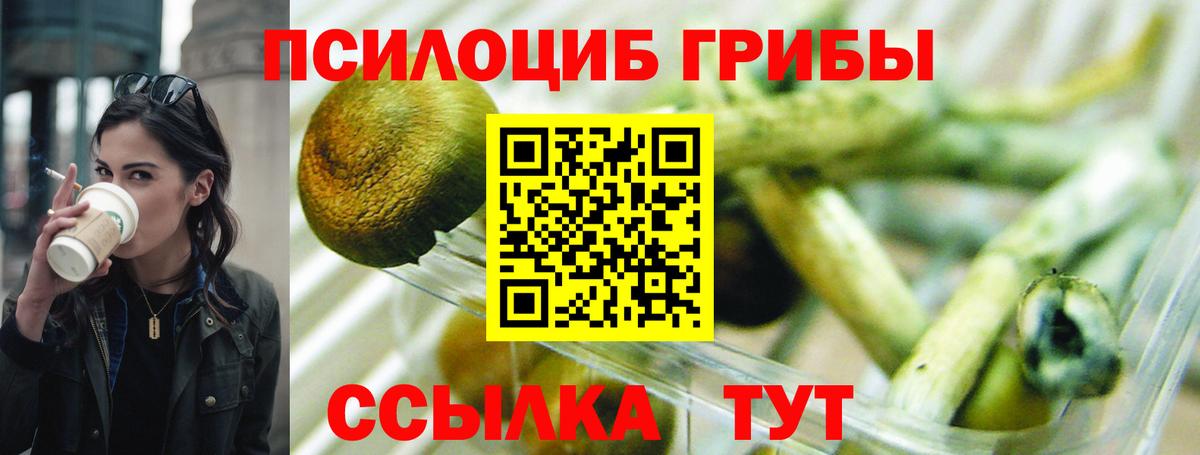 Псилоцибиновые грибы MAGIC MUSHROOMS  Вход с VPN  Черемхово 